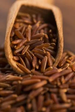 Red rice Stock Photos