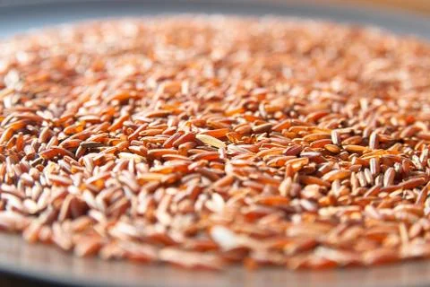 Red rice Stock Photos