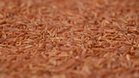 Red rice, side view. Rice - groats. Stock Footage 144685612