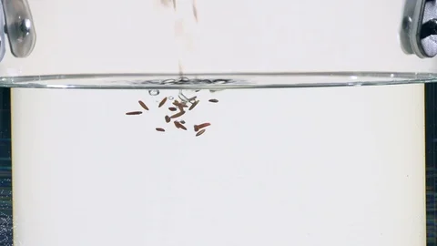 Red rice Slow motion Stock Footage 102155118