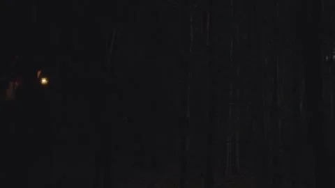 Red riding hood Stock Footage 140477659