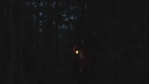 Red riding hood Video stock 140477848