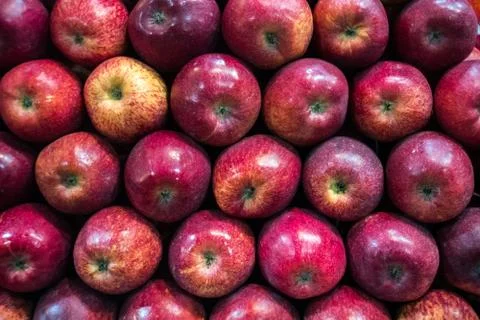 Red ripe apple background Foto stock