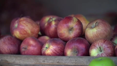 Red, Ripe Apples: A Nutritious Delight Vídeo Stock 242763186