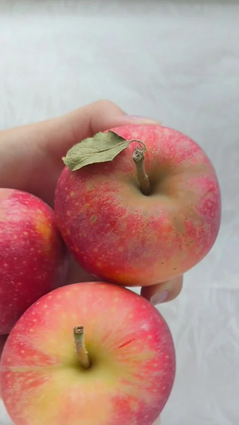 Red ripe apples in a womans hand. Fruit. Stock Footage 314976331