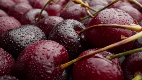 Red ripe cherries covered with drops of water. Rotating red cherry harvest. Stock Footage 283291620