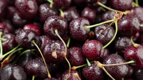 Red ripe cherries covered with drops of water. Red cherry harvest. Organic food. Video stock 292639098