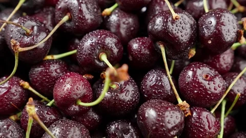 Red ripe cherries covered with drops of water. Red cherry harvest. Organic food. Stock Footage 297618851