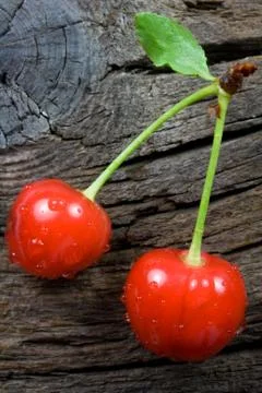 Red Ripe Cherries Stock Photos
