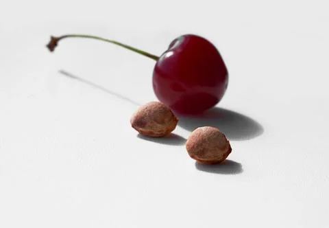 Red ripe cherry and two cherry pits on a gray textured background. Stock Photos