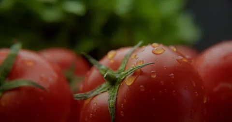 Red ripe cherry tomatoes under a splash of water droplets 스톡 동영상 310957439