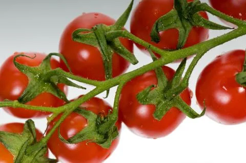 Red ripe small cherry tomatoes on the vine Stock Photos