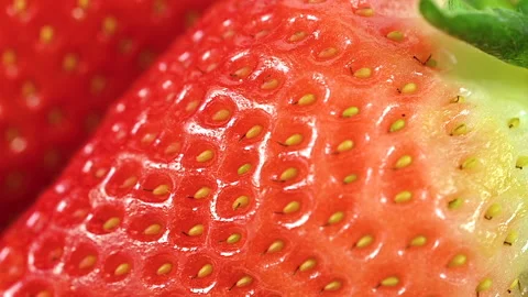 Red ripe strawberries closeup macro Stock Footage 301412081