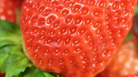 Red ripe strawberries macro, rotating slow motion Stock Footage 301411967