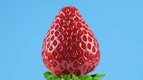 Red ripe strawberry rotating in slow motion, close-up view Stock Footage 86548947