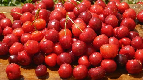 Red ripe sweet cherry closeup with water drops Stock Footage 111613222