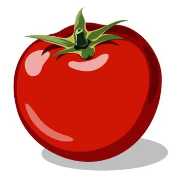 Red ripe tomato Stock Illustration