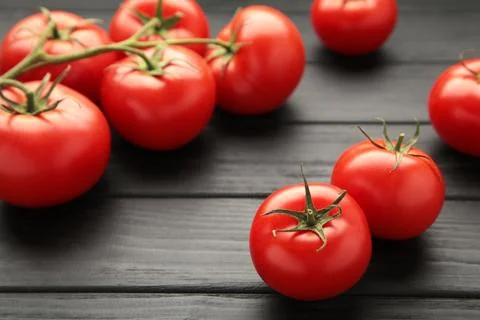 Red, ripe tomatoes on a dark background. Harvesting tomatoes. Stock Photos