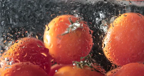 Red ripe tomatoes fall and float in water 스톡 동영상 145178563