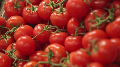 Red ripe tomatoes Stock Footage 59305937