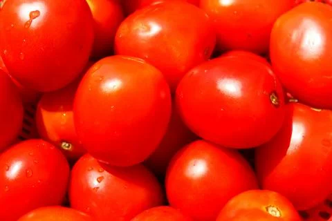 The red ripe tomatoes Stock Photos