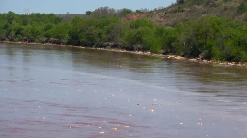 The Red River between Texas and Oklahoma State. Stock Footage 106547534