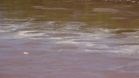 The Red River between Texas and Oklahoma State. Stock Footage 106547554