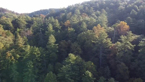 Red River Gorge Drone 02 Stock Footage 246578754