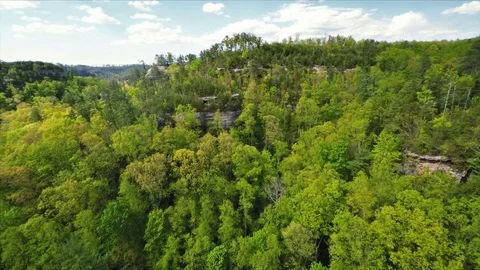 Red River Gorge Video stock 79627891