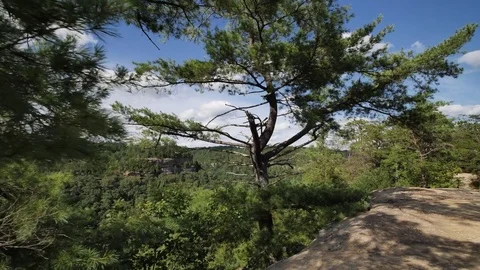 Red River Gorge Valley Overlook from Sky Bridge Video stock 82155688