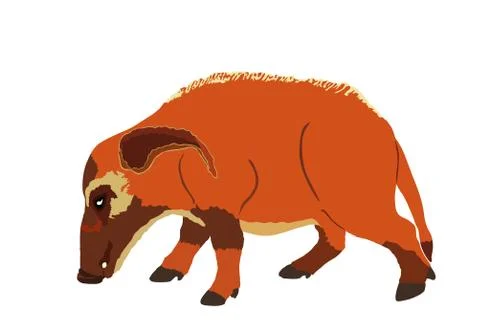Red river hog vector illustration isolated on white Иллюстрация