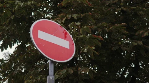 Red road sign against the backdrop of trees on an autumn day. Stock Footage 236858345