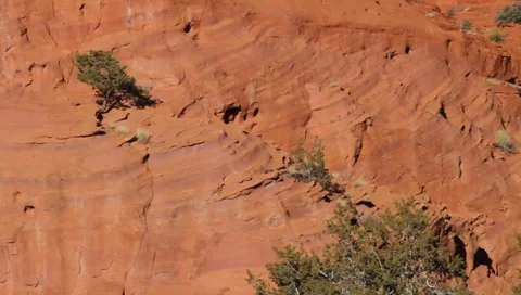 Red Rock 0988 Stock Footage 1019190