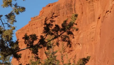 Red Rock 0993 Stock Footage 1019155