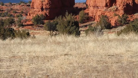 Red Rock 1027 Video stock 1018867