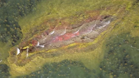 Red Rock and Waves Stock Footage 200808050