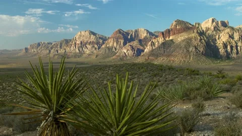 Red Rock Canyon 4K Stock Footage 137480717