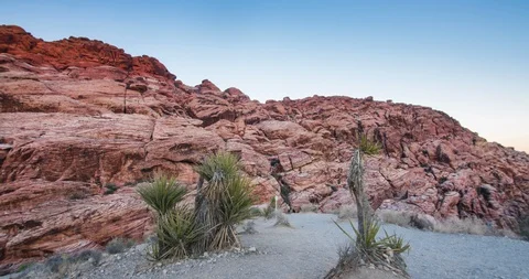 Red Rock Canyon with Cacti sunset Stock-Footage 98557983