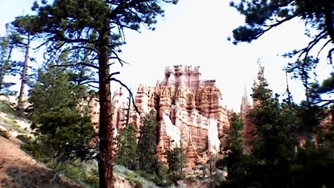 Red Rock Canyon.   Stock Footage 81576973