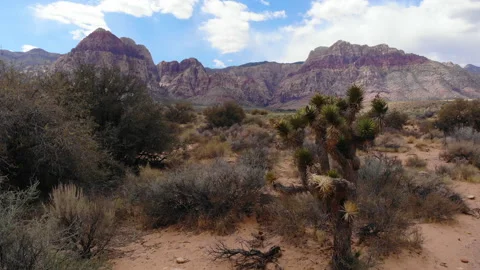 Red Rock Canyon, Nevada, aerial of desert and mountains outside Las Vegas 2 Stock Footage 205572053