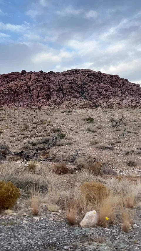 Red Rock Canyon in Nevada Stock Footage 263656429