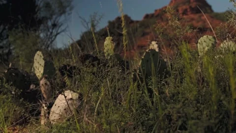 Red Rock Canyons - 7 Video stock 171718033