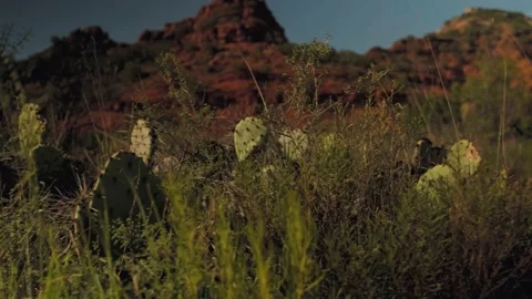 Red Rock Canyons - 9 Video stock 171718031