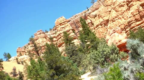 Red Rock Cliffs Blue Sky Pines Video stock 55008541
