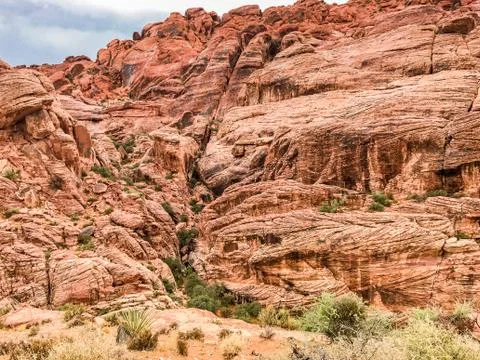 Red rock cliffs Stock Photos