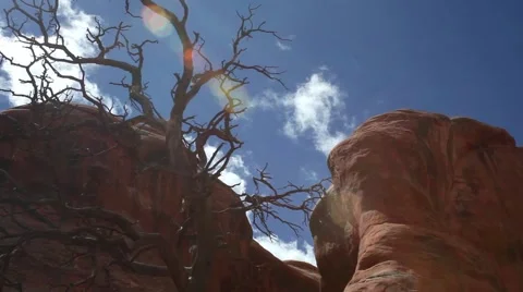 Red rock formation, dead tree, Arches National Park, blue sky, white clouds Stock Footage 41750652