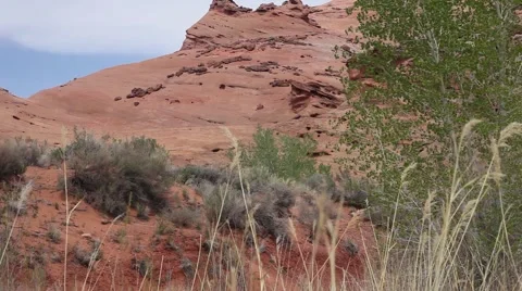 Red rock formation with foreground tree &amp; weeds, blue sky and white clouds Stock Footage 41453616