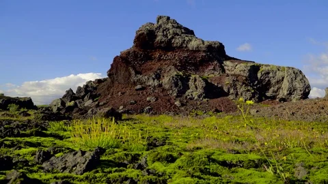 Red rock formation on landscape covered with moss Stock Footage 73010879