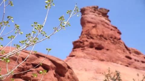 Red rock formation in soft focus with tree in foreground, blue sky Stock Footage 41453469