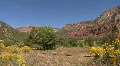 Red Rock In The Jemez Mountains HD Footage